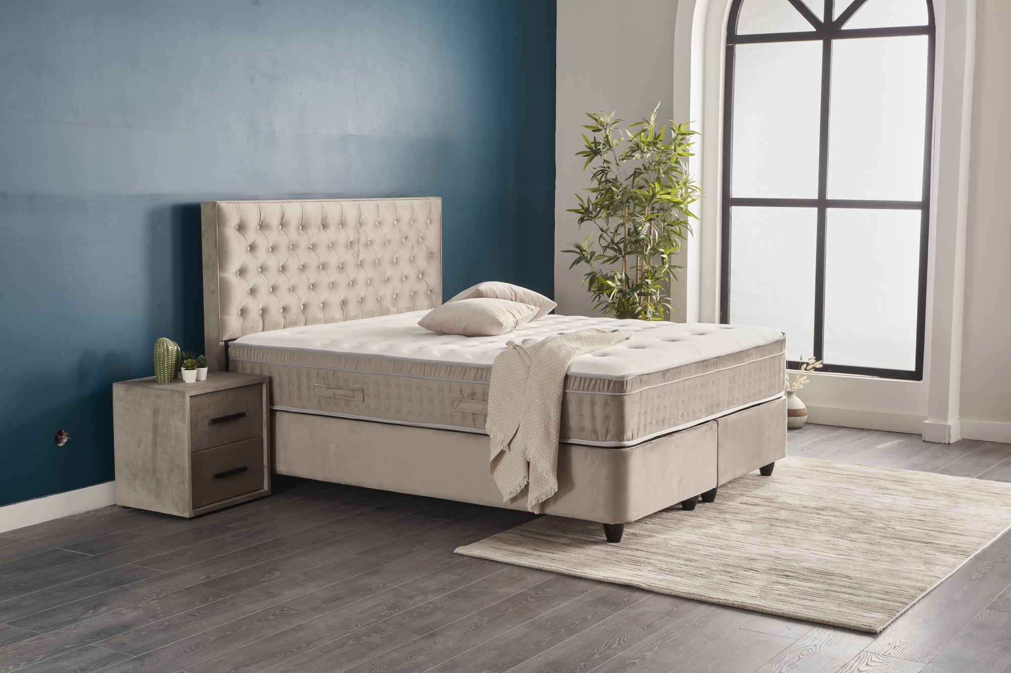 Chester Visco - Image 2