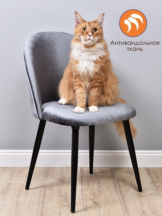 Kresls Lori - Image 6